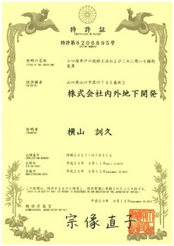 特許証(小口径～)