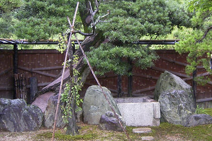 井戸